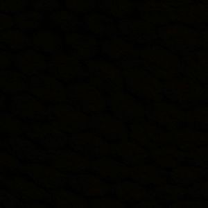 Meet your Posher, Hunter